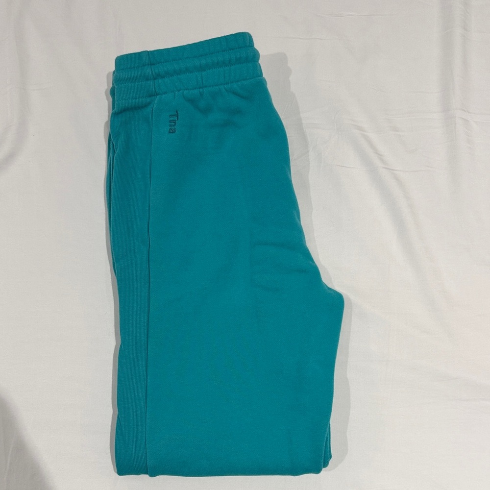 Aritzia Teal Track Joggers